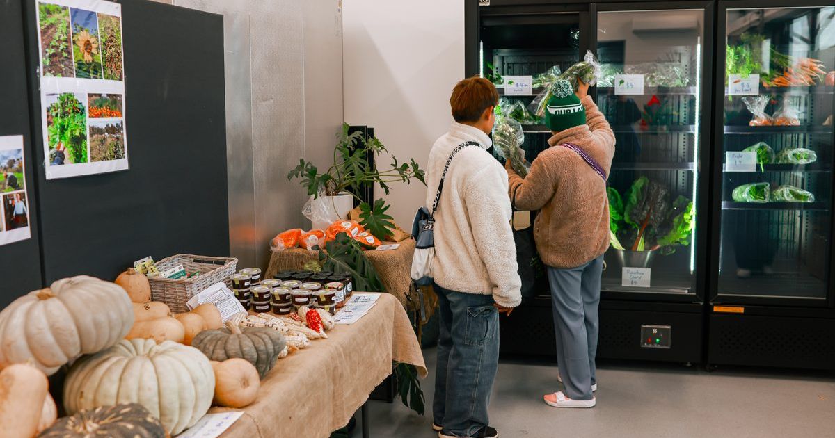 Social supermarkets success