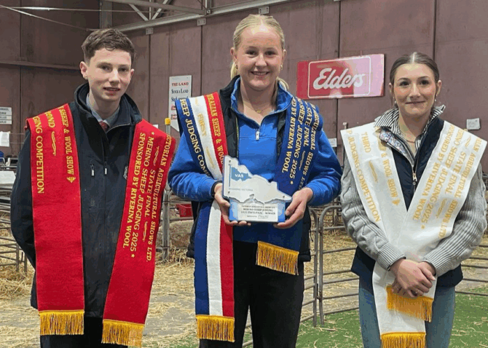 Junior judging winner