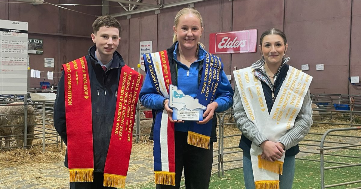 Junior judging winner