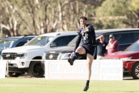 Mounts vs Bulldogs Final