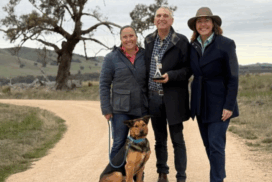 Muster Dogs Logie