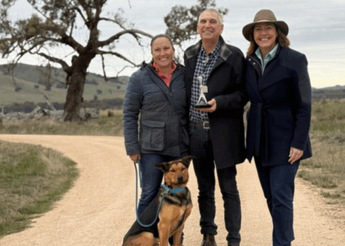 Muster Dogs Logie