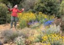 Australian native flower show