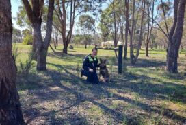 rural property security