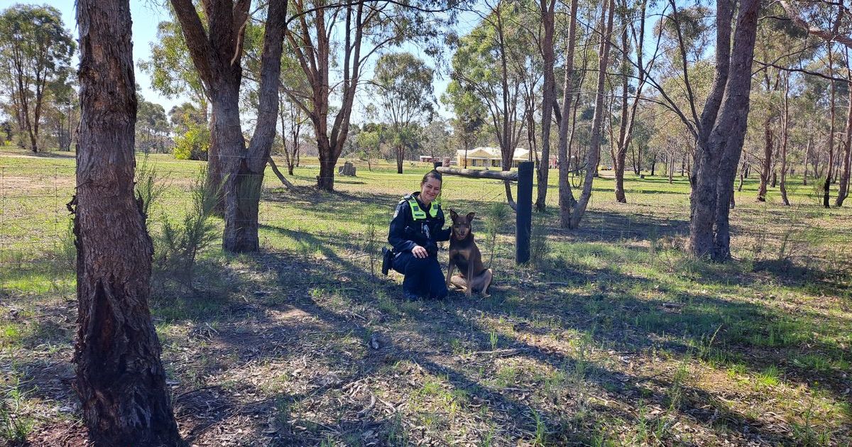 rural property security