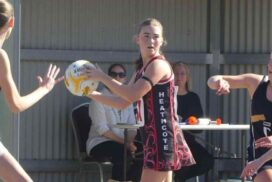 Heathcote Saints awards