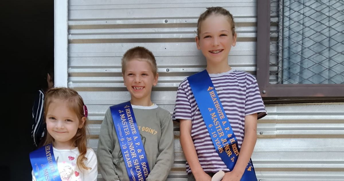 Heathcote Show Art and Craft Competition