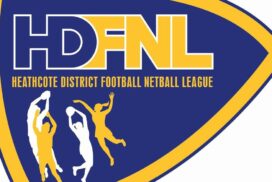 HDFNL under-15s