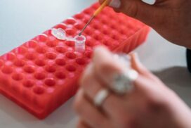 Pill testing results Victoria