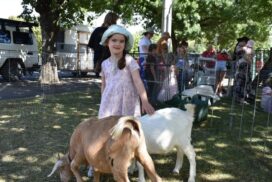 Heathcote Picnic in the Park