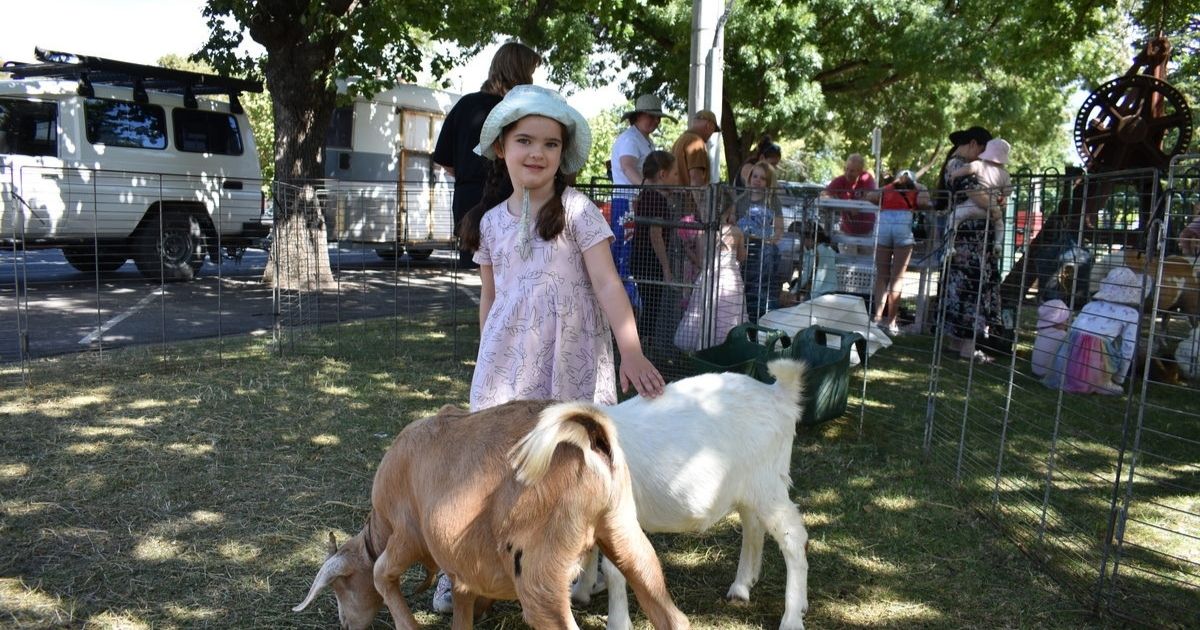 Heathcote Picnic in the Park