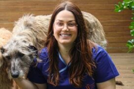 Bendigo Bank Scholarships 2026