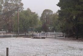 Heathcote Hailstorm Christmas