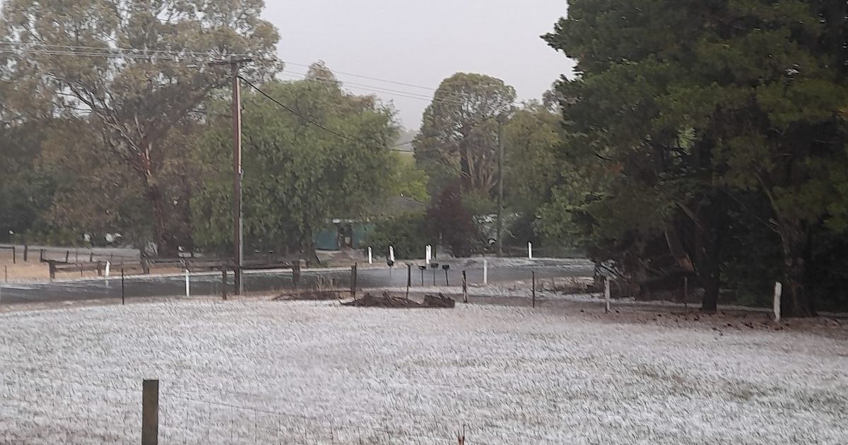 Heathcote Hailstorm Christmas