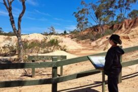 Heathcote community AGM