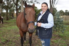 Equine Therapy for Veterans