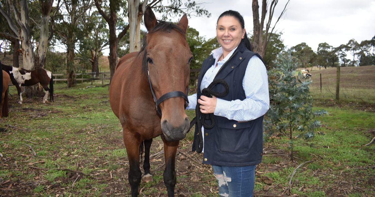 Equine Therapy for Veterans