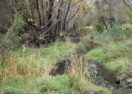 Heathcote emergency preparedness