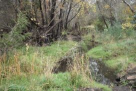 Heathcote emergency preparedness