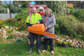 Chainsaw safety for beginners
