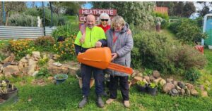 Chainsaw safety for beginners