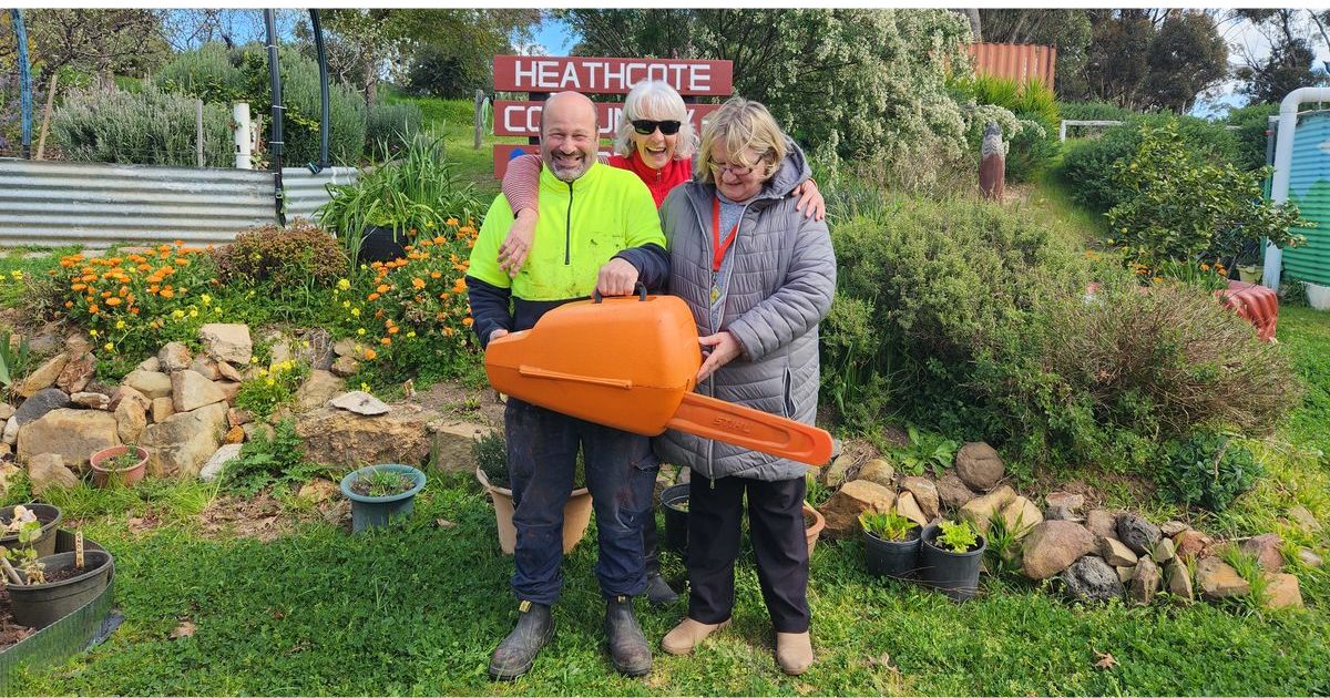 Chainsaw safety for beginners