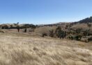 Nature on Farms