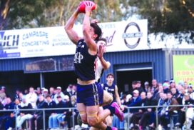 Heathcote DFNL football