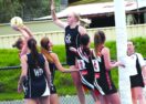 Heathcote DFNL Netball