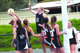 Heathcote DFNL Netball
