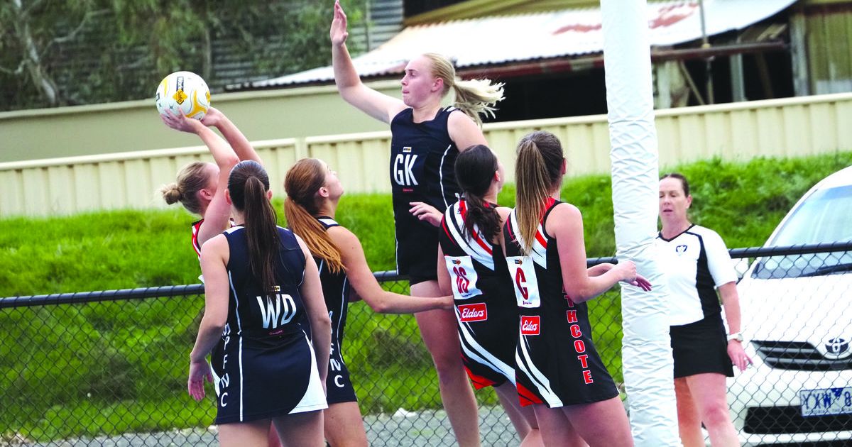 Heathcote DFNL Netball