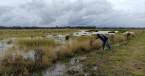 Farm resilience Central Victoria