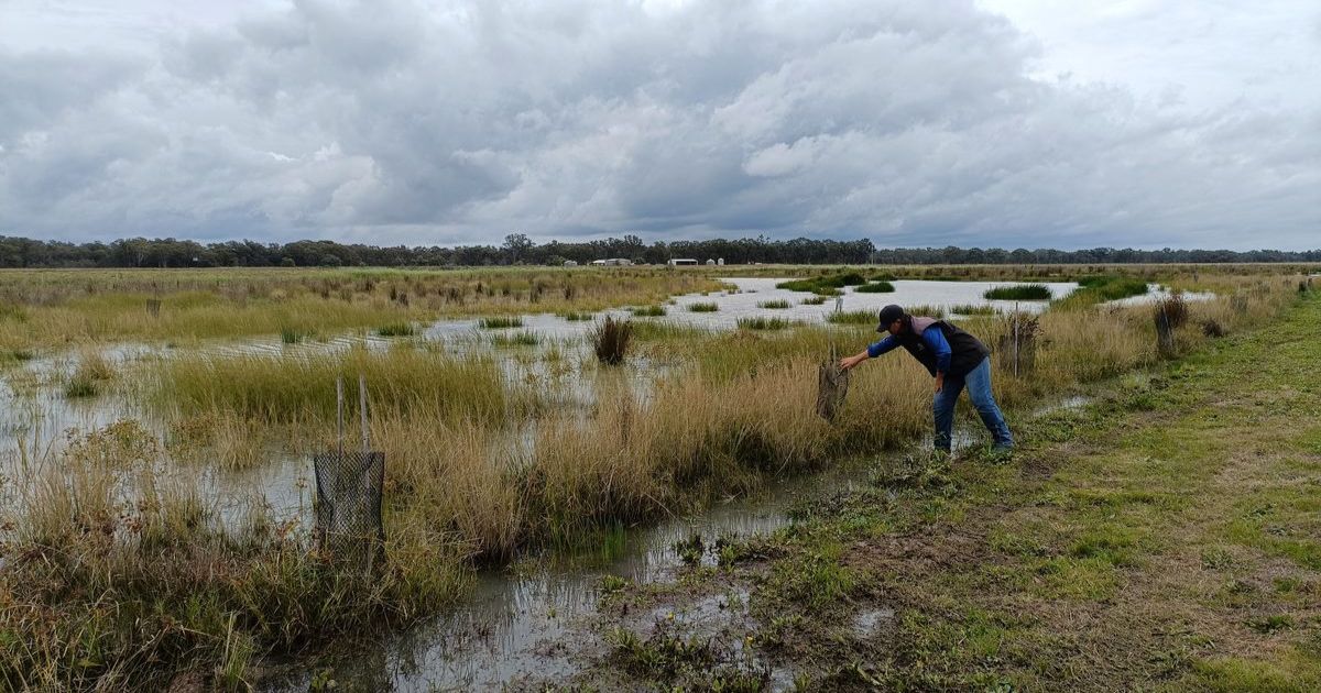 Farm resilience Central Victoria