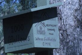 Box-Ironbark forests