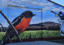 Heathcote on Show 2026