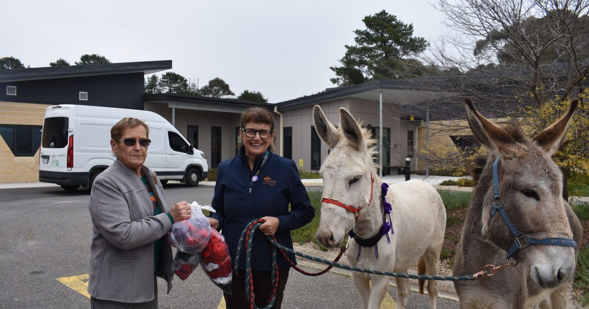 Aged care special guests