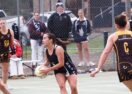 Heathcote DFNL netball