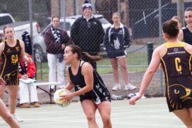 Heathcote DFNL netball