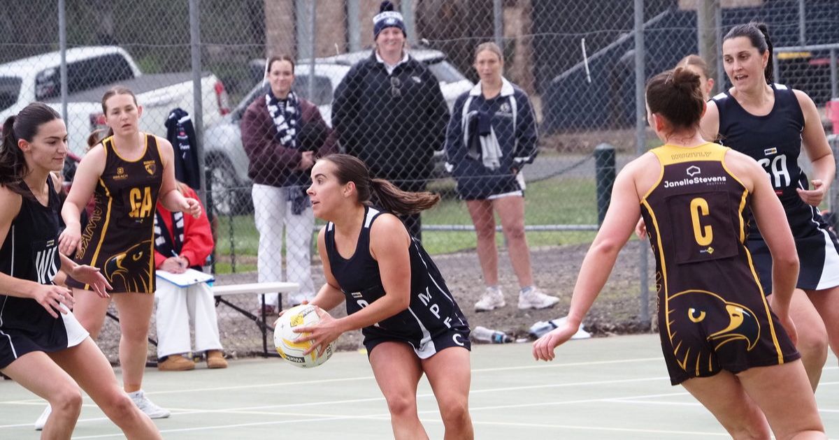 Heathcote DFNL netball