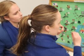 Science and Engineering Challenge