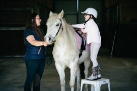 Equine Assisted Learning