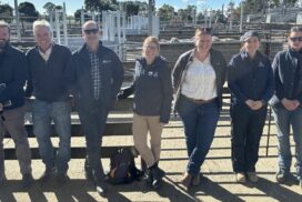 Naracoorte livestock exchange