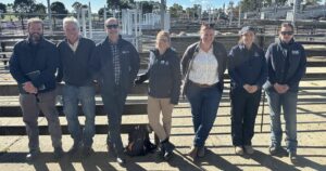 Naracoorte livestock exchange