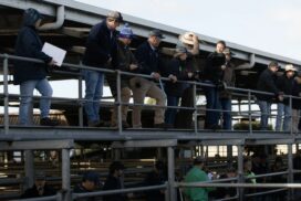 drought support event