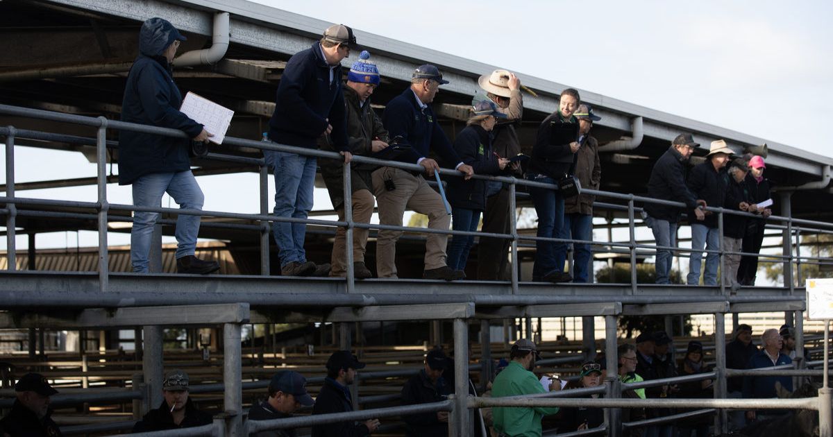 drought support event