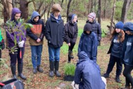 Youth environment council