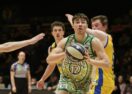 Mount Gambier Pioneers Men