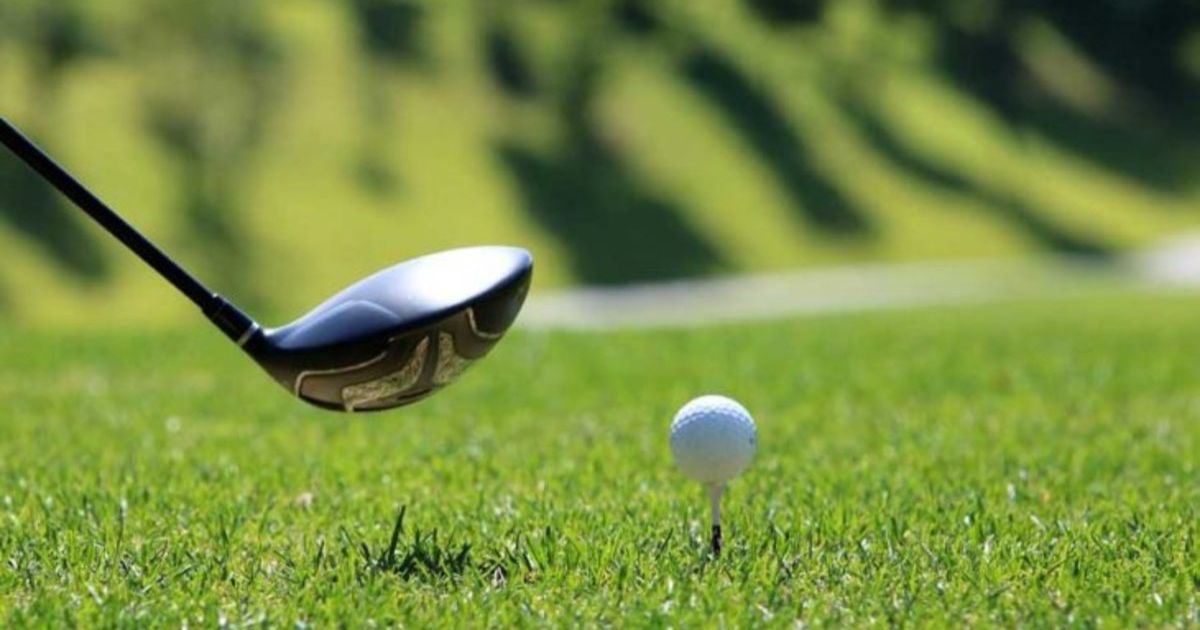 Mount Gambier Golf results