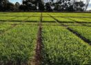 Pasture Roadshow 2025