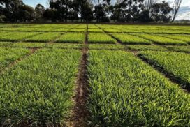 Pasture Roadshow 2025
